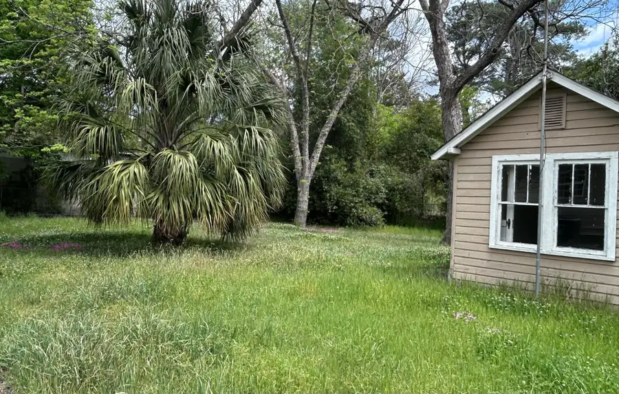 302 Horne Street, Saint George, SC 29477 - #3