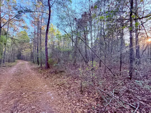 430 Weenee Road, Jamestown, SC 29453