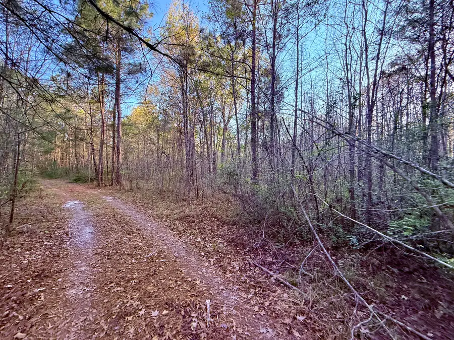 430 Weenee Road, Jamestown, SC 29453 - #3