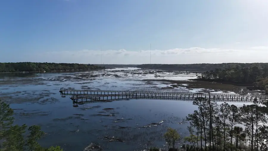 3582 Clambank Drive, Mount Pleasant, SC 29466 - #2