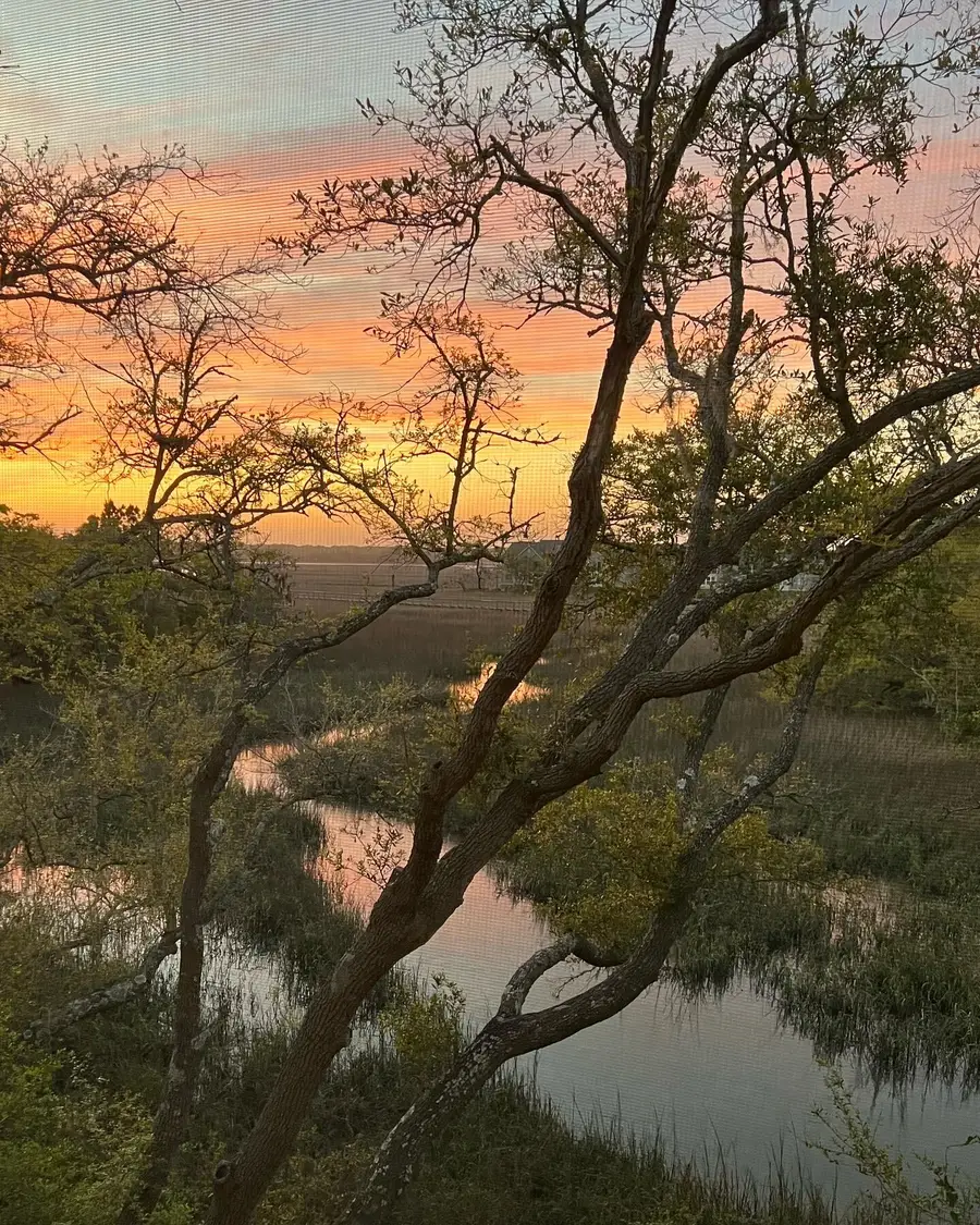 2020 Long Bend, Seabrook Island, SC 29455 - #2