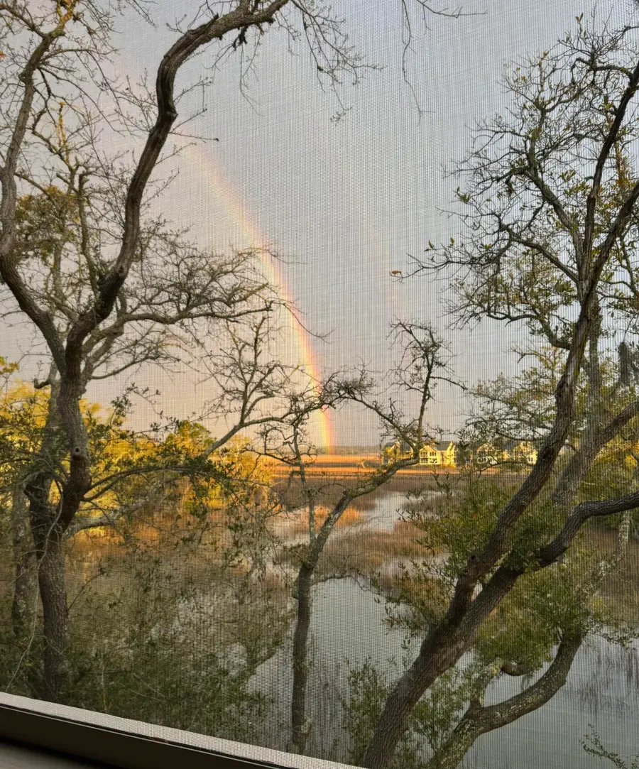 2020 Long Bend, Seabrook Island, SC 29455 - #3