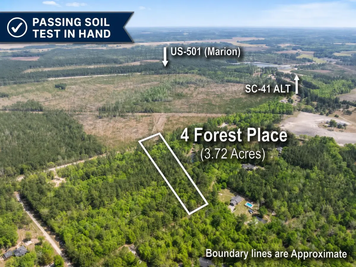 4 Forest Place, Marion, SC 29571 - #1
