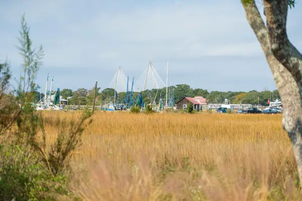 212 Live Oak Drive, Mount Pleasant, SC 29464