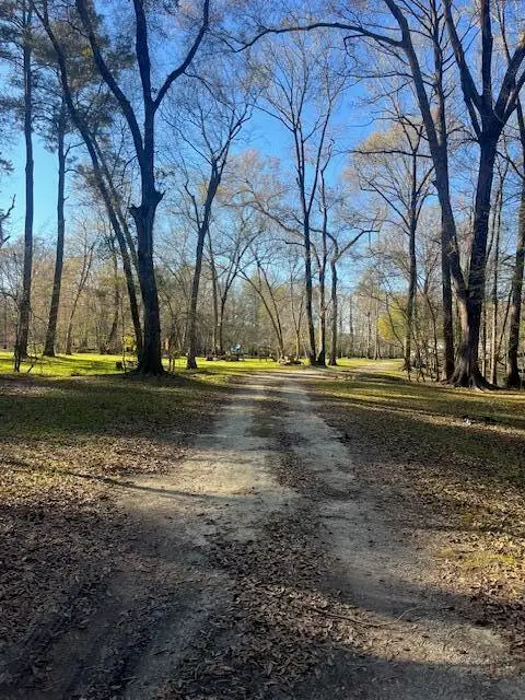 41 Mendel Court, Round O, SC 29474 - #1