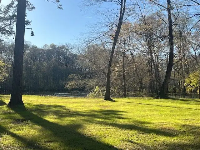 41 Mendel Court, Round O, SC 29474 - #3