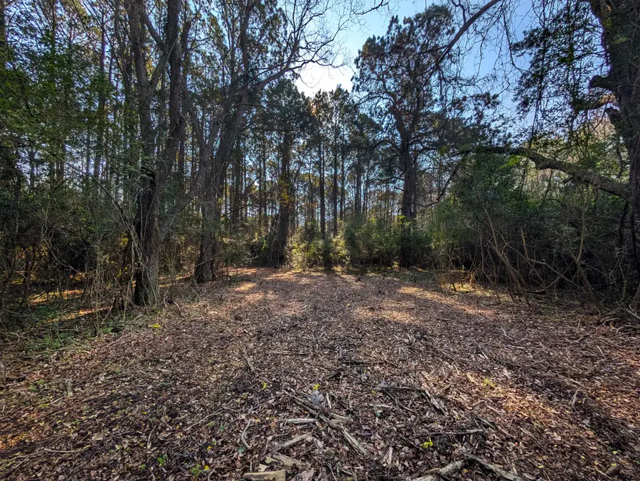 3733 N Highway 17 Highway #Tract 2, McClellanville, SC 29458 - #2