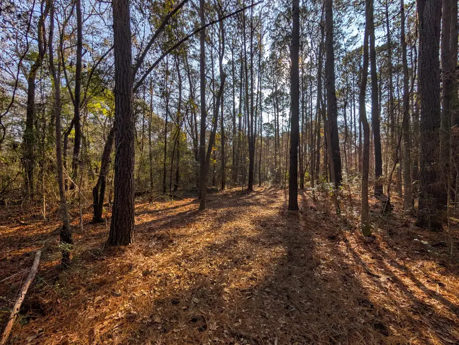 3733 N Highway 17 Highway #Tract 2, McClellanville, SC 29458 - #3
