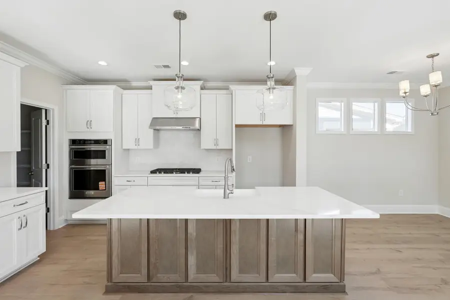 244 Newsday Street, Charleston, SC 29492 - #2