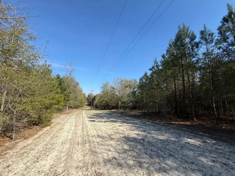 0000 S Carolina 3, Barnwell, SC 29812 - #2