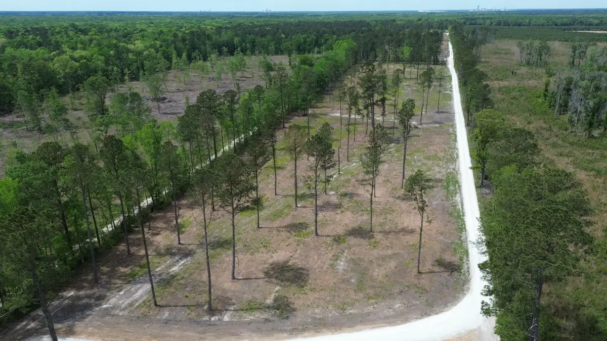 2 Highway 27, Holly Hill, SC 29059 - #1