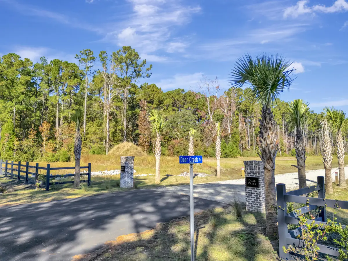 3015 Doar Creek Trail, Awendaw, SC 29429 - #1