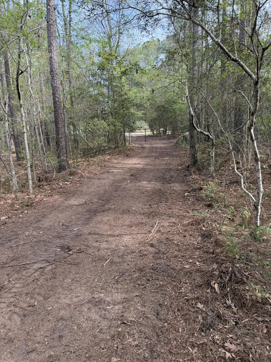 200 Yearling Drive, Summerville, SC 29486 - #2