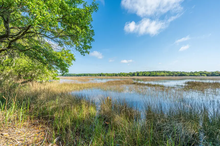 5084 Timber Race Course, Hollywood, SC 29449 - #2