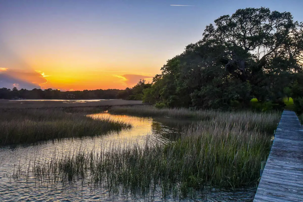 6001 Selkirk Plantation Road, Wadmalaw Island, SC 29487 - #1