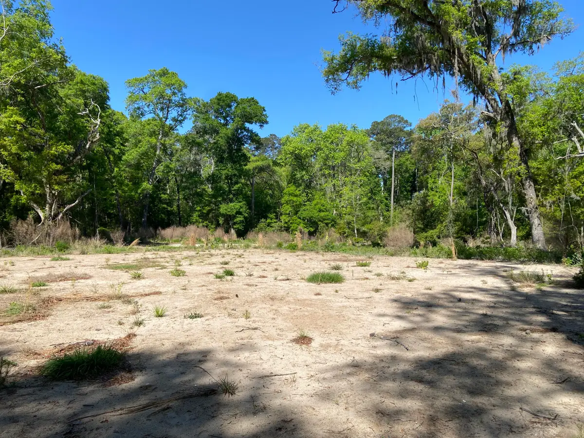 6079 Josie Ridge Road, Wadmalaw Island, SC 29487 - #1