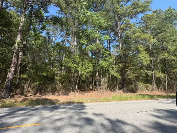 00 Clubhouse Road, Ravenel, SC 29470