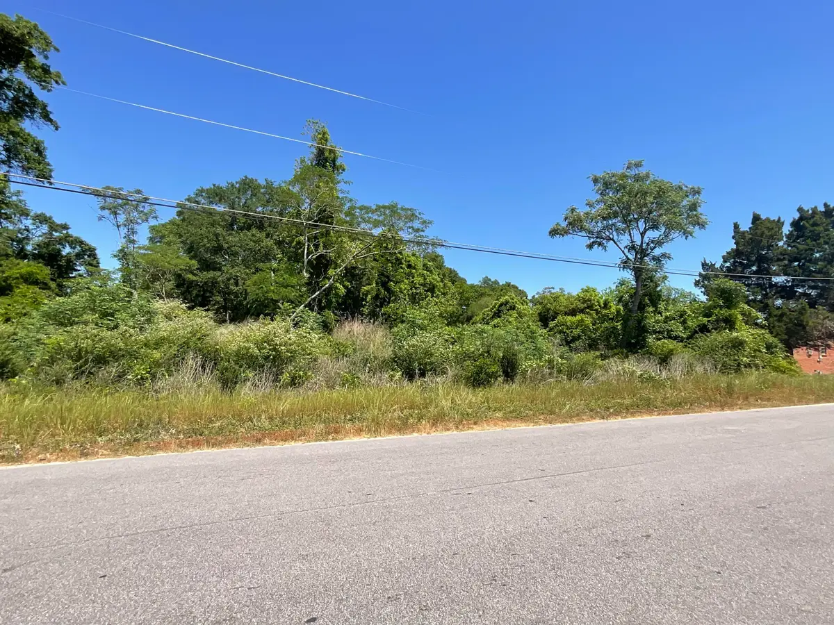 3494 Railroad Avenue, Bamberg, SC 29003 - #1