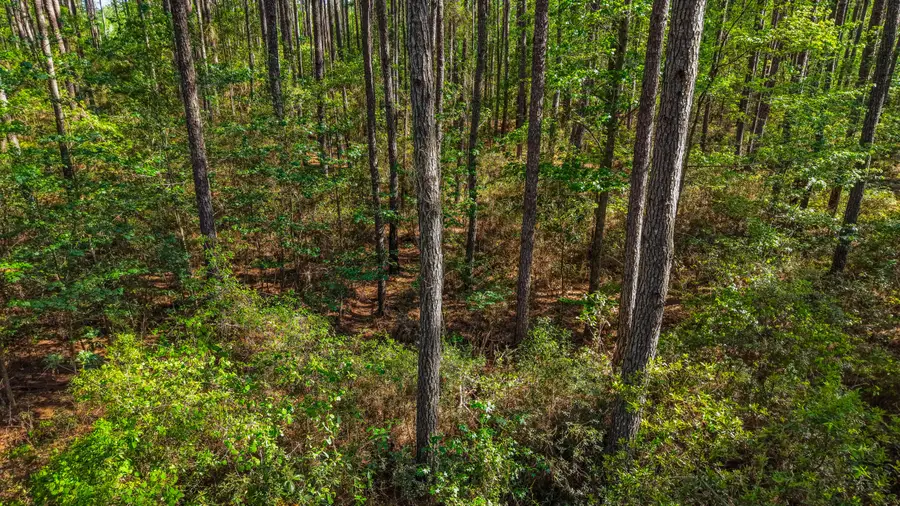 0 Crews Cemetery Road, Varnville, SC 29944 - #3