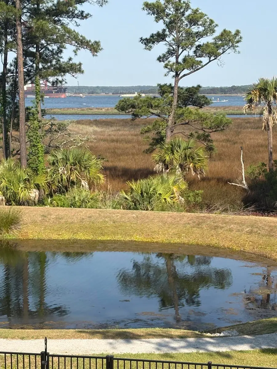 523 Spring Hollow Drive, Charleston, SC 29492 - #3