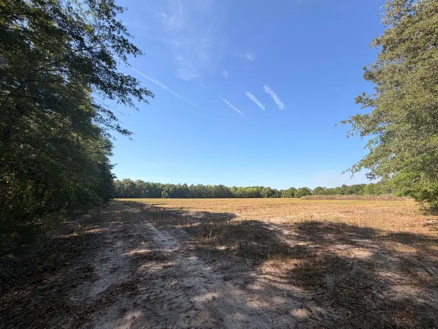 0 Cottage Lane, Saint Stephen, SC 29479 - #3