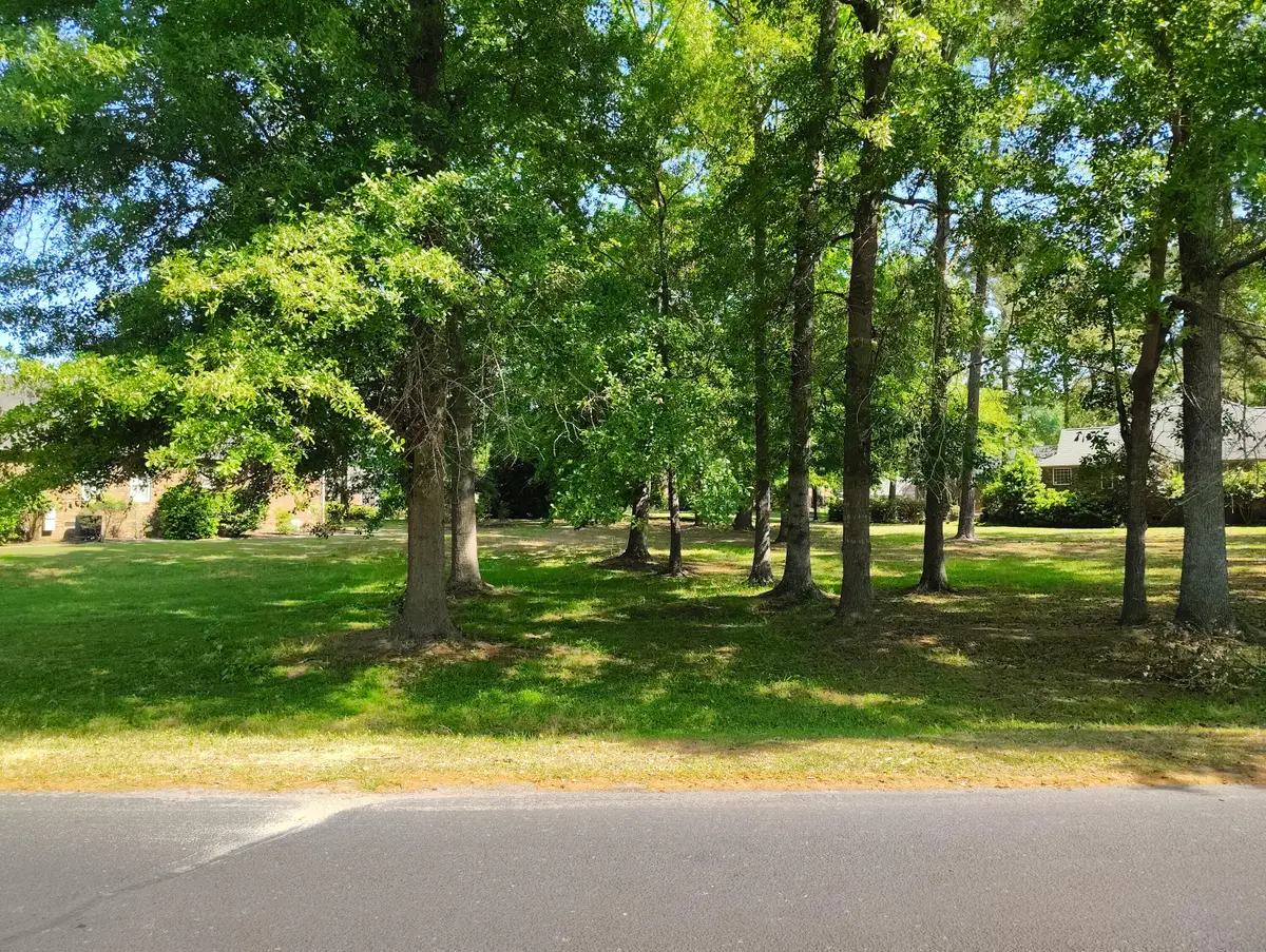 218 Ridge Lake Drive, Manning, SC 29102 - #1