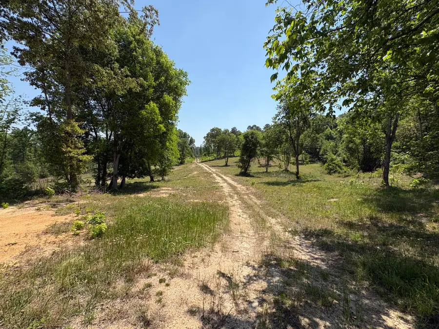 000 Ccc Road #025-08-01-001, Beech Island, SC 29842 - #3