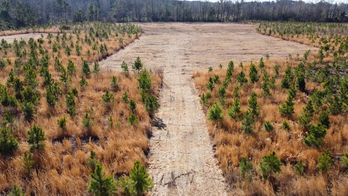 8 Highway 6, Cross, SC 29436 - #1