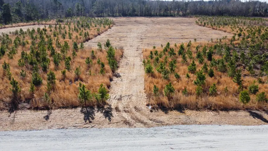 8 Highway 6, Cross, SC 29436 - #2