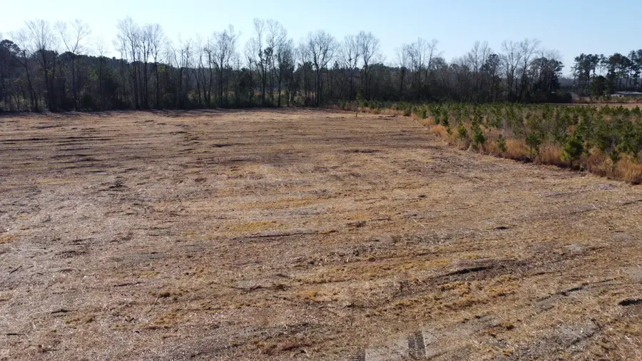 8 Highway 6, Cross, SC 29436 - #3