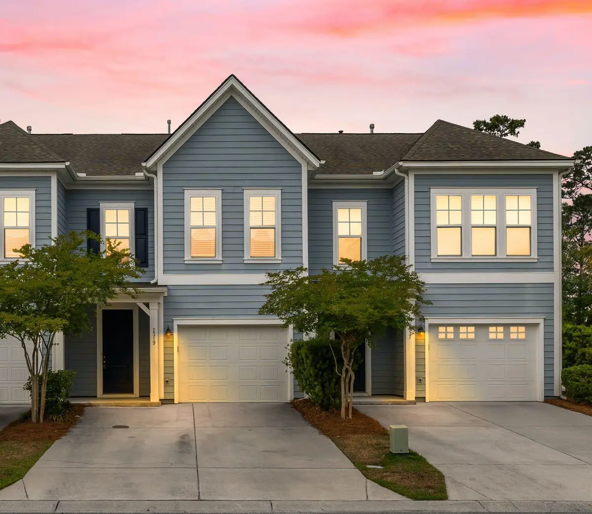 2319 Watchtower Lane, Charleston, SC 29414 - #1