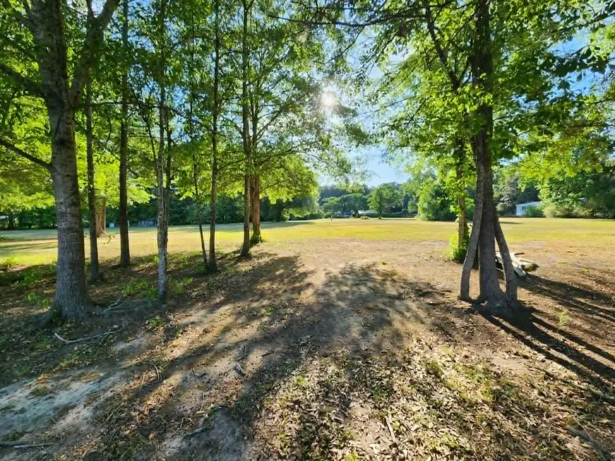 0 Cane Gully Road, Moncks Corner, SC 29461 - #1