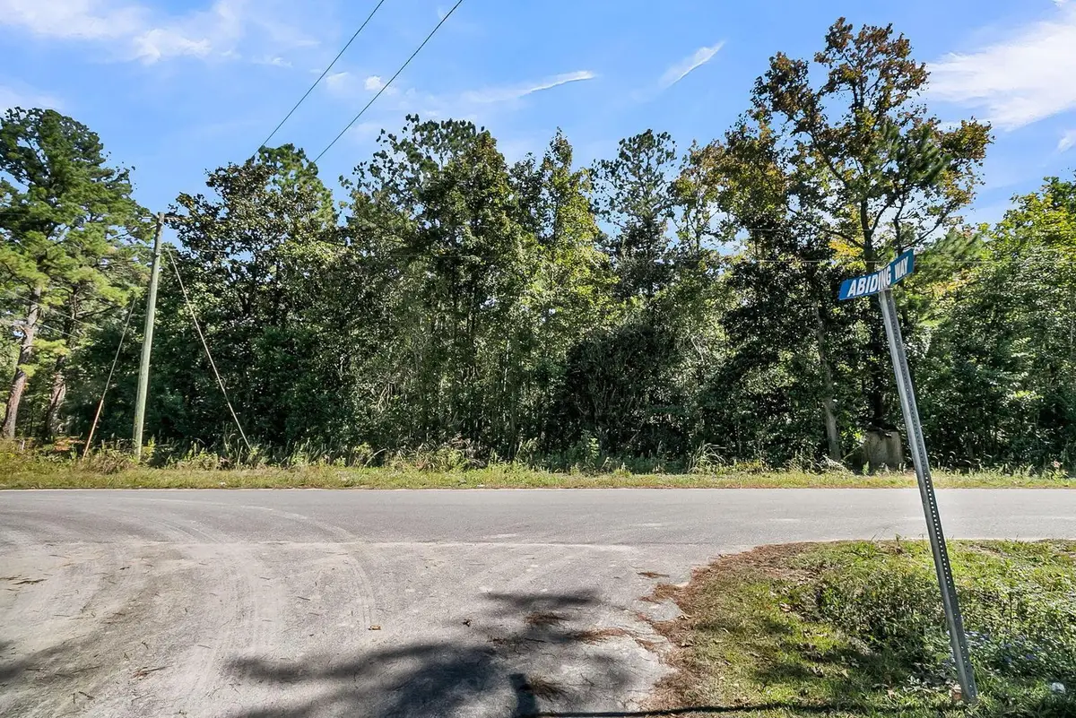 135 Jacob Piland Road, Moncks Corner, SC 29461 - #1