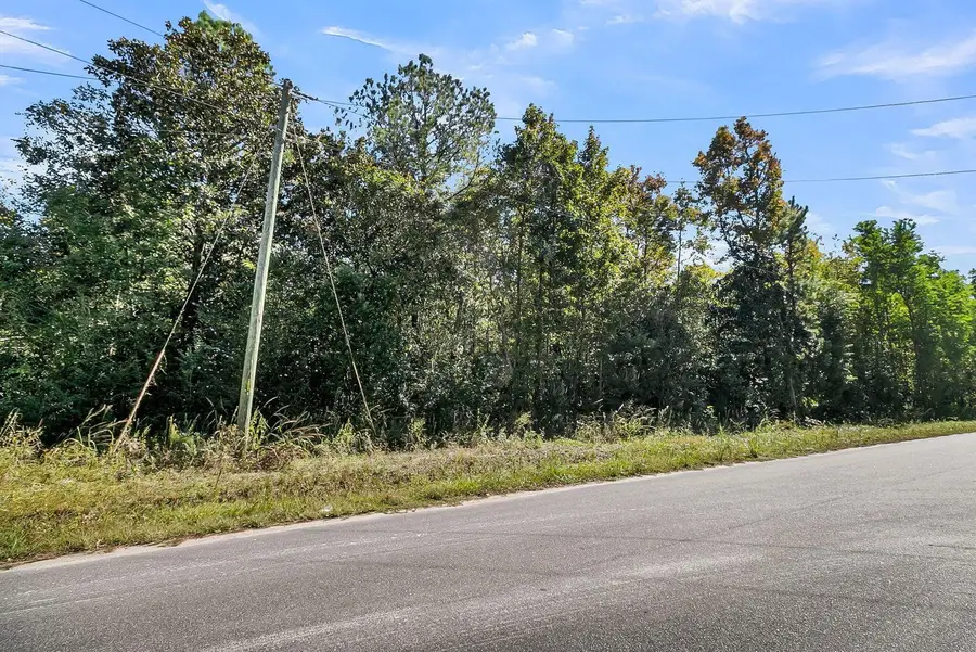 135 Jacob Piland Road, Moncks Corner, SC 29461 - #2