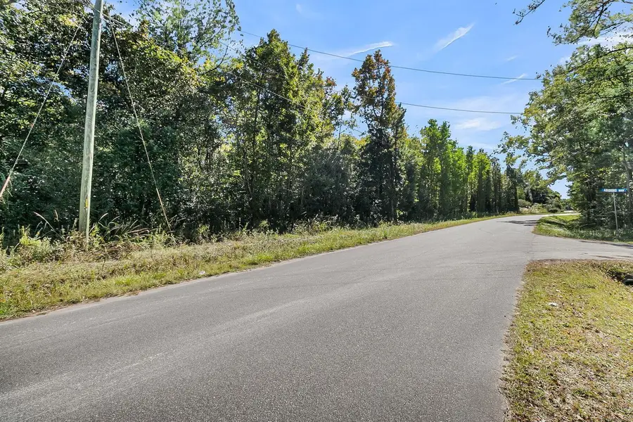 135 Jacob Piland Road, Moncks Corner, SC 29461 - #3