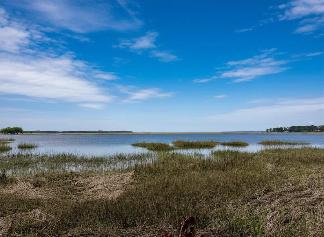 34 Creekmoor Lane, Seabrook, SC 29940 - #1