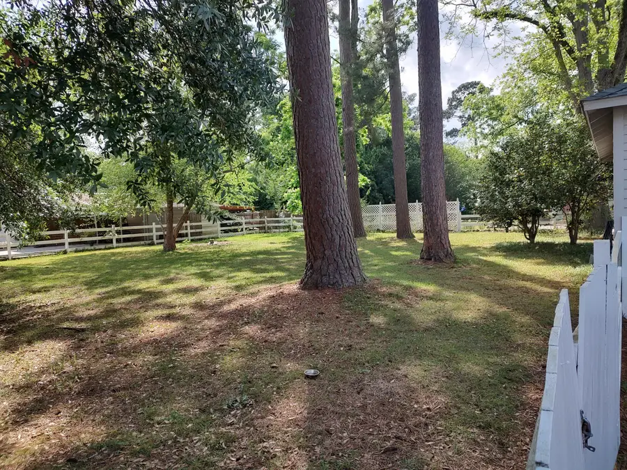401 Johnston Street, Saint George, SC 29477 - #3