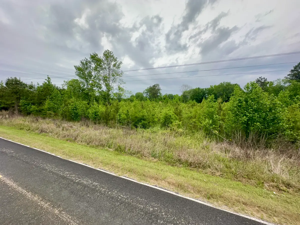 Tbd Chewning Rd, Pinewood, SC 29125 - #1