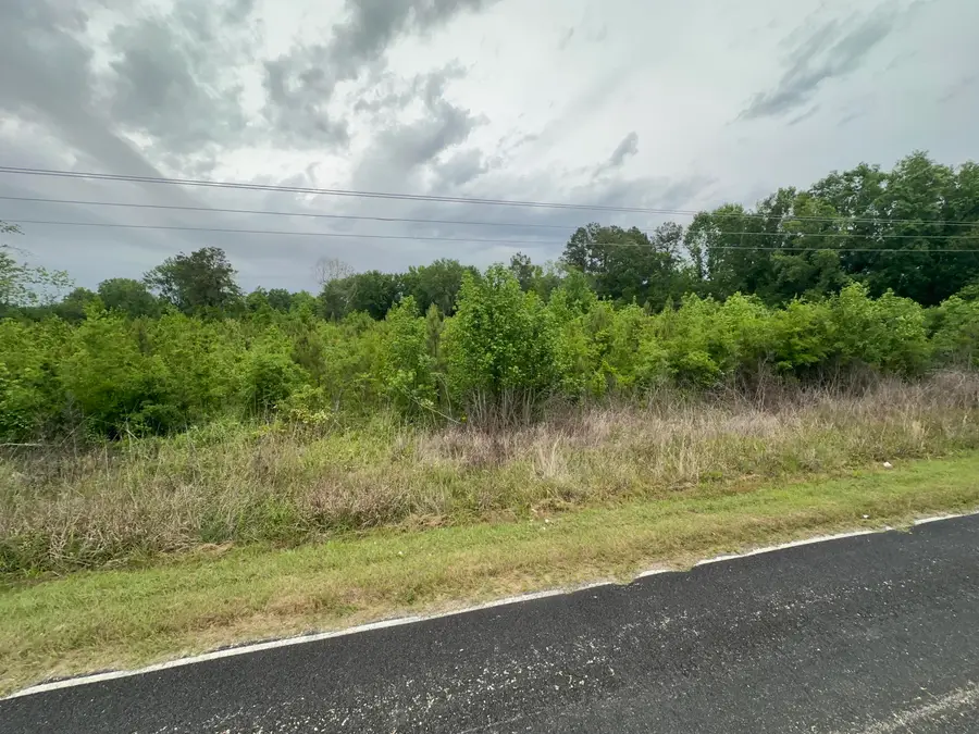 Tbd Chewning Rd, Pinewood, SC 29125 - #2