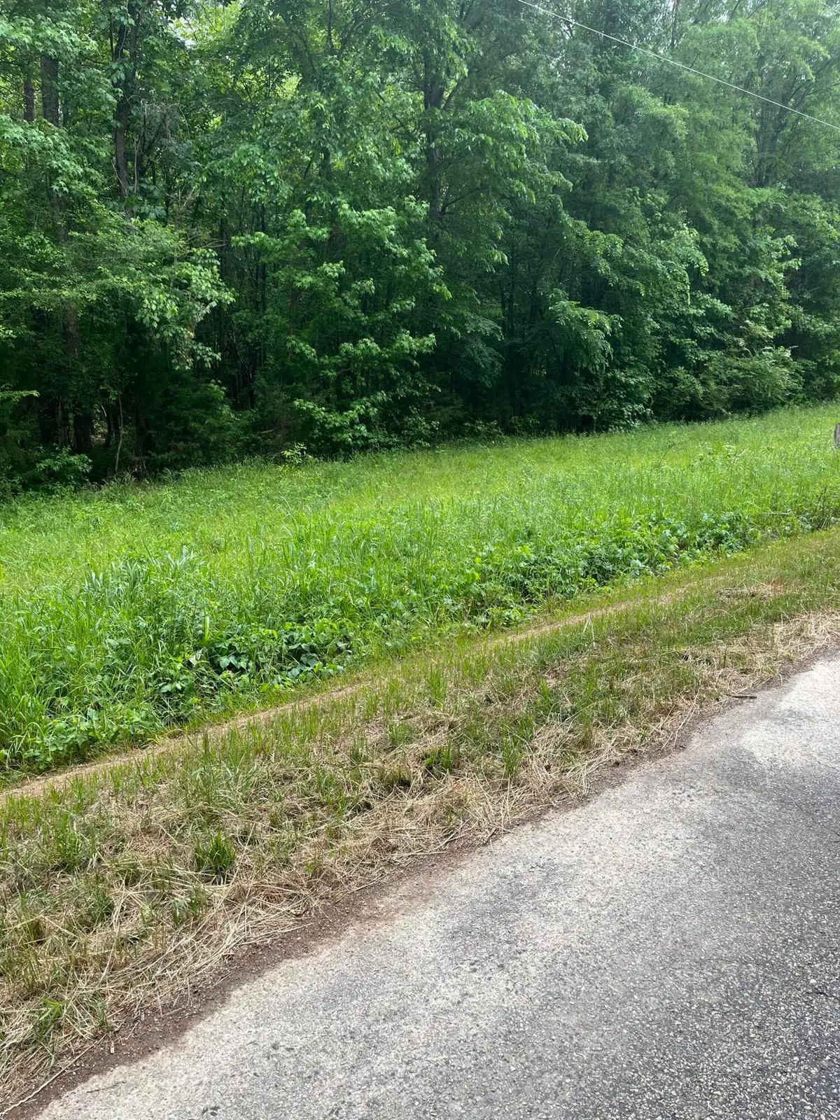 0 State Road S-24-189 Bee Pond R, Ninety Six, SC 29666 - #1