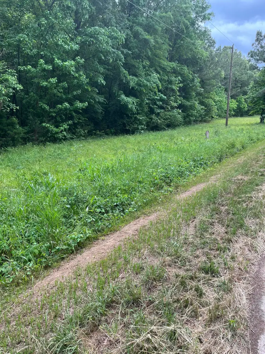 0 State Road S-24-189 Bee Pond R, Ninety Six, SC 29666 - #2