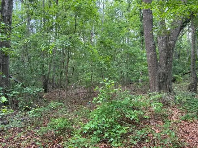 0 Joyous Way, Moncks Corner, SC 29461 - #1