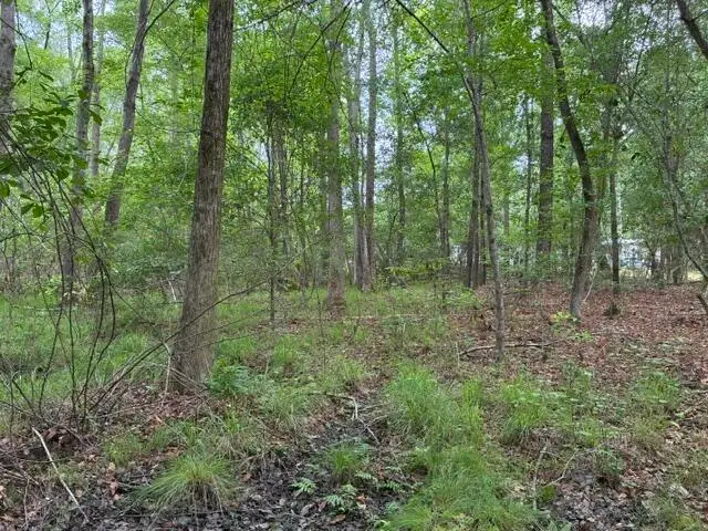 0 Joyous Way, Moncks Corner, SC 29461 - #2