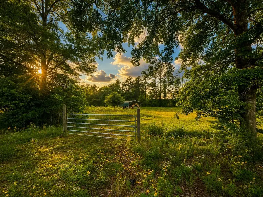00 Fish Road, Ridgeville, SC 29472 - #2