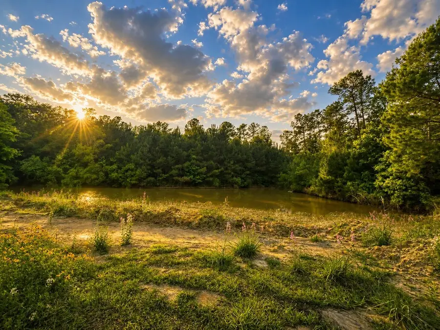 00 Fish Road, Ridgeville, SC 29472 - #3