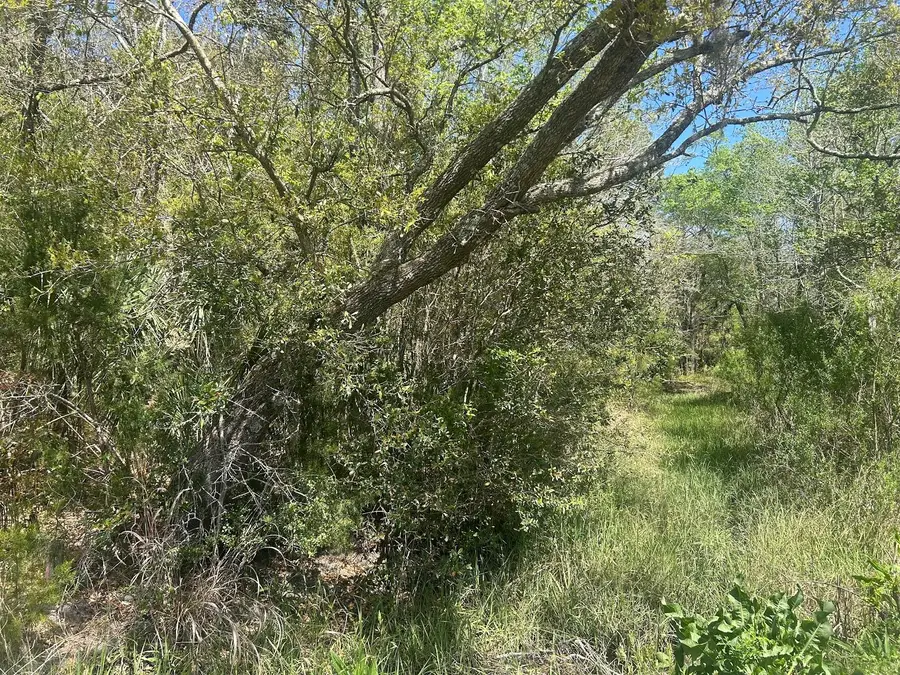 2492 Boy Scout Road, Wadmalaw Island, SC 29487 - #2
