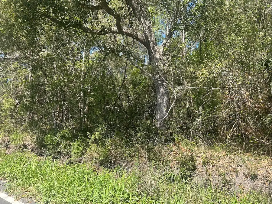 2492 Boy Scout Road, Wadmalaw Island, SC 29487 - #3