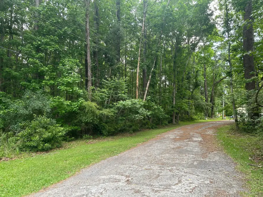 0 Pritchard Green Road, Mount Pleasant, SC 29429 - #3