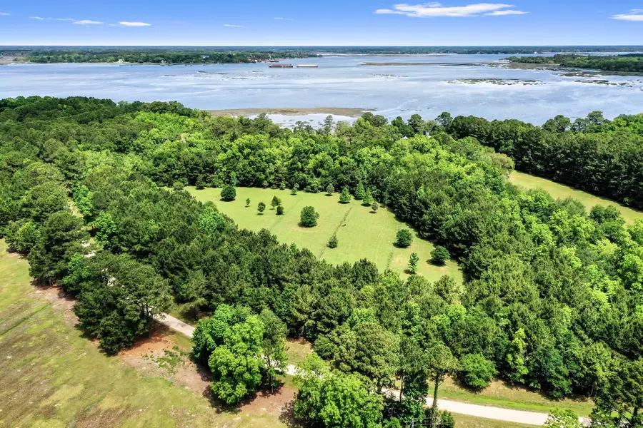6180 Josie Ridge Road, Wadmalaw Island, SC 29487 - #2