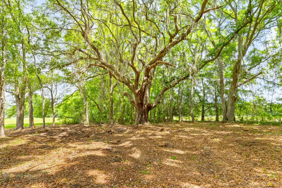 2571 Bryans Dairy Road, Johns Island, SC 29455 - #2